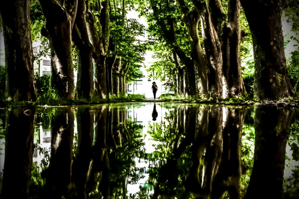 Le labyrinthe d'Alice